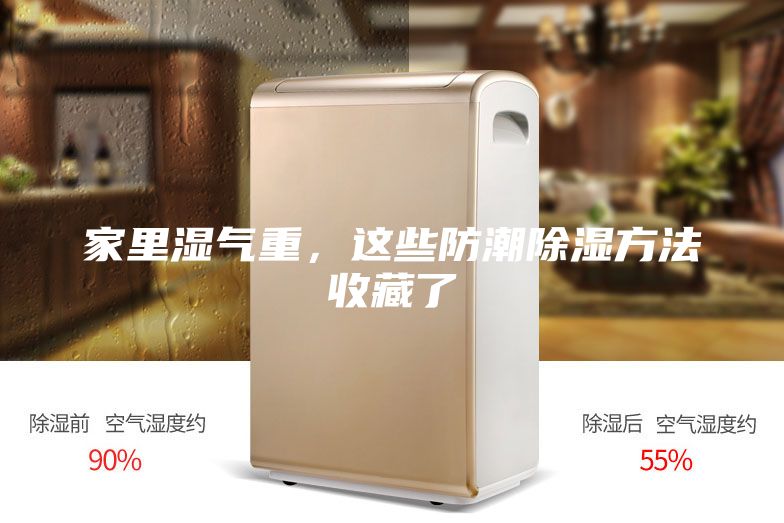 家里湿气重，这些防潮除湿方法收藏了