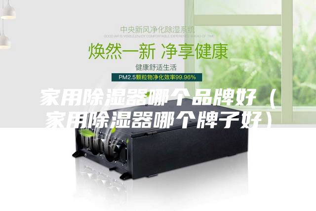 家用除湿器哪个品牌好（家用除湿器哪个牌子好）