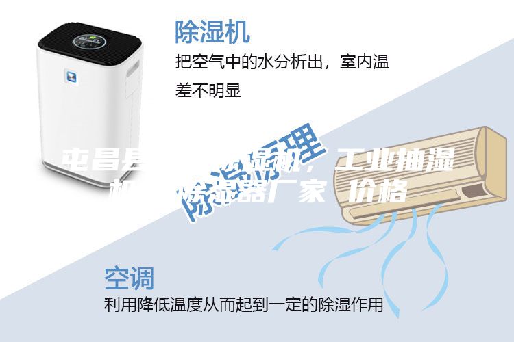 屯昌县车间除湿机，工业抽湿机  除湿器厂家 价格