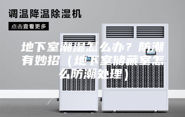 地下室潮湿怎么办？防潮有妙招（地下室储藏室怎么防潮处理）