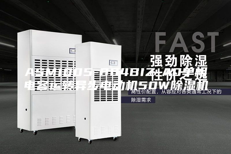 ASM1005-804BIZ-A0单相电容运转异步电动机50W除湿机