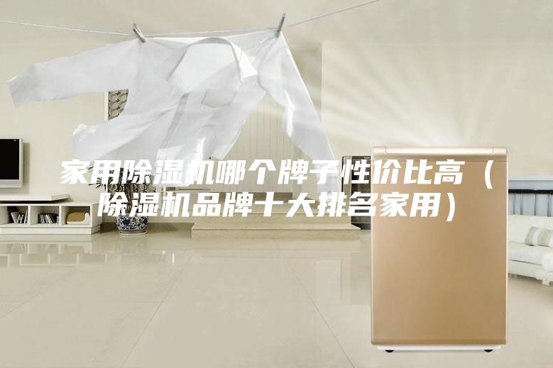 家用除湿机哪个牌子性价比高（除湿机品牌十大排名家用）