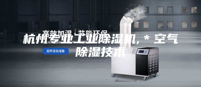 杭州专业工业除湿机,＊空气除湿技术