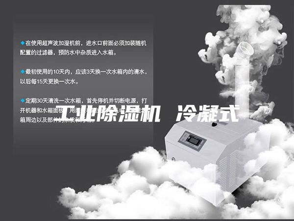 工业除湿机 冷凝式