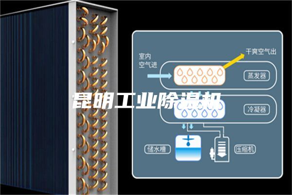 昆明工业除湿机