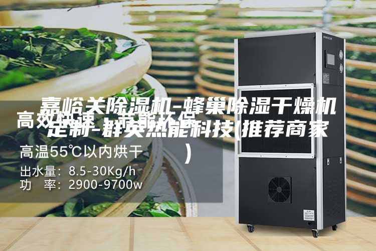 嘉峪关除湿机-蜂巢除湿干燥机定制-群英热能科技(推荐商家)