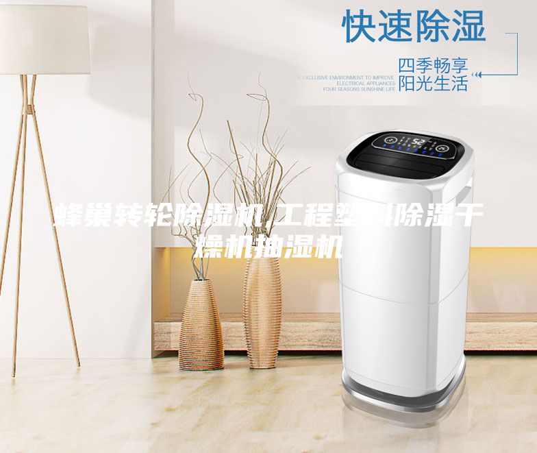 蜂巢转轮除湿机,工程塑料除湿干燥机抽湿机