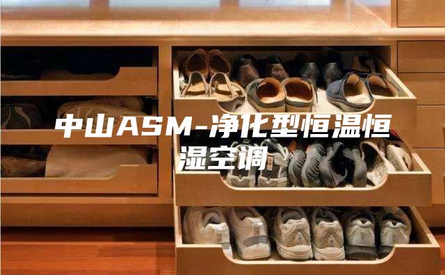 中山ASM-净化型恒温恒湿空调