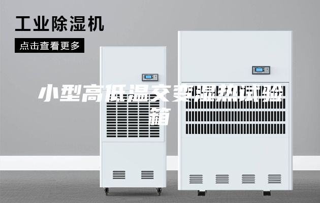 小型高低温交变湿热试验箱