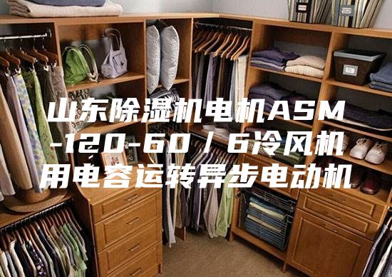 山东除湿机电机ASM-120-60／6冷风机用电容运转异步电动机