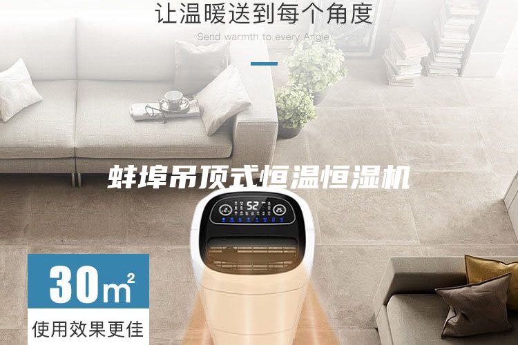 蚌埠吊顶式恒温恒湿机