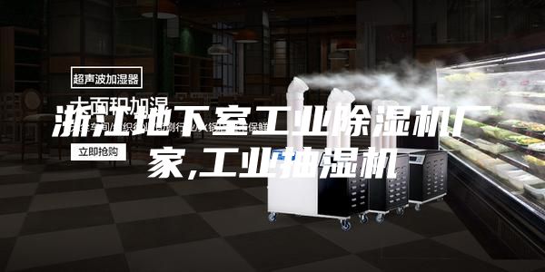 浙江地下室工业除湿机厂家,工业抽湿机