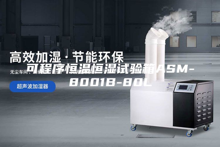 可程序恒温恒湿试验箱ASM-8001B-80L
