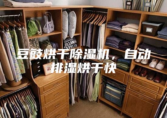 豆豉烘干除湿机，自动排湿烘干快