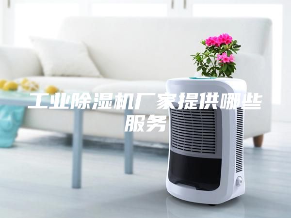 工业除湿机厂家提供哪些服务