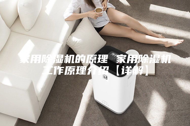 家用除湿机的原理 家用除湿机工作原理介绍【详解】
