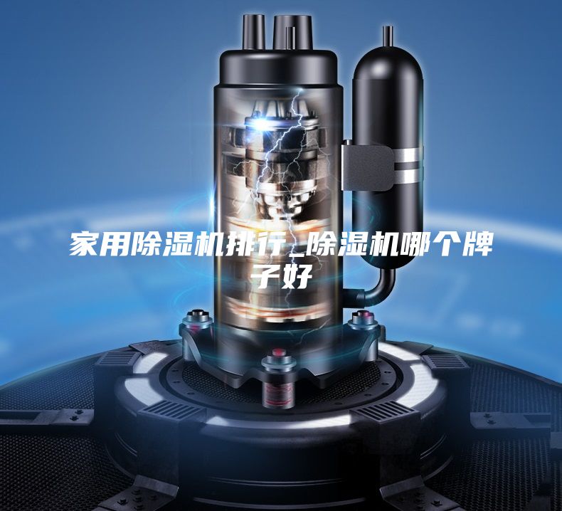 家用除湿机排行_除湿机哪个牌子好