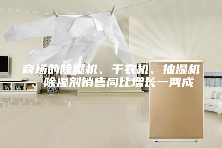 商场的除湿机、干衣机、抽湿机、除湿剂销售同比增长一两成
