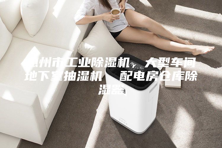 惠州市工业除湿机，大型车间地下室抽湿机  配电房仓库除湿器