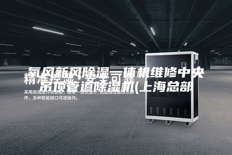 氧风新风除湿一体机维修中央吊顶管道除湿机(上海总部