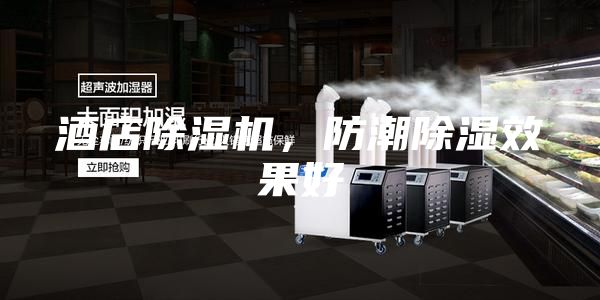 酒店除湿机，防潮除湿效果好