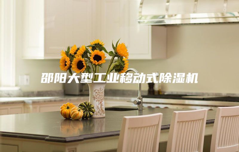 邵阳大型工业移动式除湿机