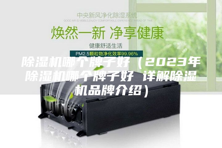 除湿机哪个牌子好（2023年除湿机哪个牌子好 详解除湿机品牌介绍）
