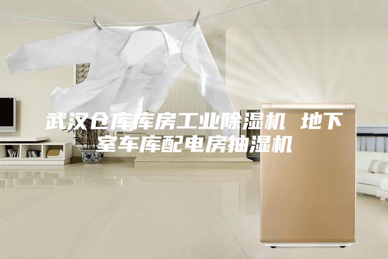 武汉仓库库房工业除湿机 地下室车库配电房抽湿机