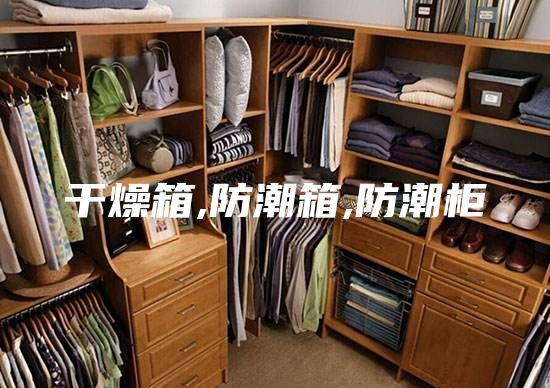 干燥箱,防潮箱,防潮柜
