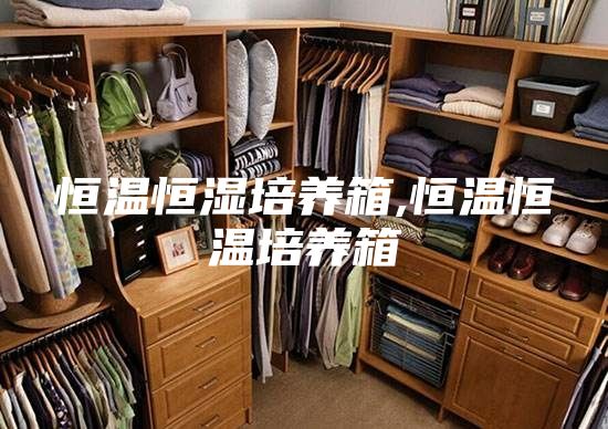 恒温恒湿培养箱,恒温恒温培养箱