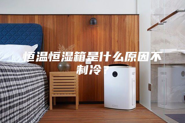 恒温恒湿箱是什么原因不制冷？