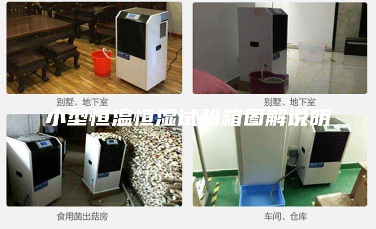小型恒温恒湿试验箱图解说明