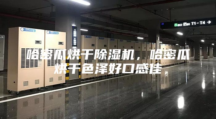 哈密瓜烘干除湿机，哈密瓜烘干色泽好口感佳