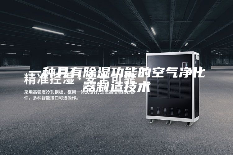 一种具有除湿功能的空气净化器制造技术