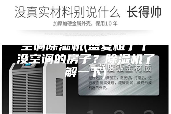 空调除湿机(盛夏租了个没空调的房子？除湿机了解一下)