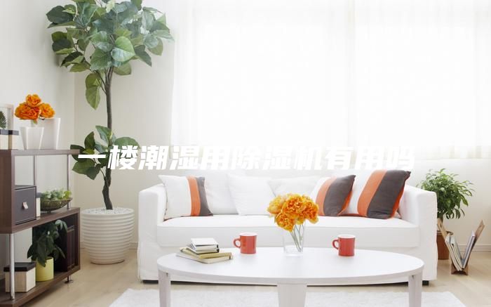 一楼潮湿用除湿机有用吗