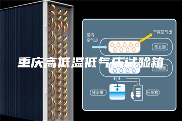 重庆高低温低气压试验箱