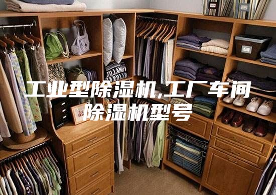 工业型除湿机,工厂车间除湿机型号