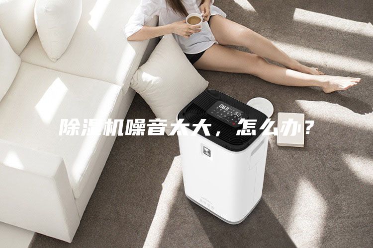 除湿机噪音太大，怎么办？