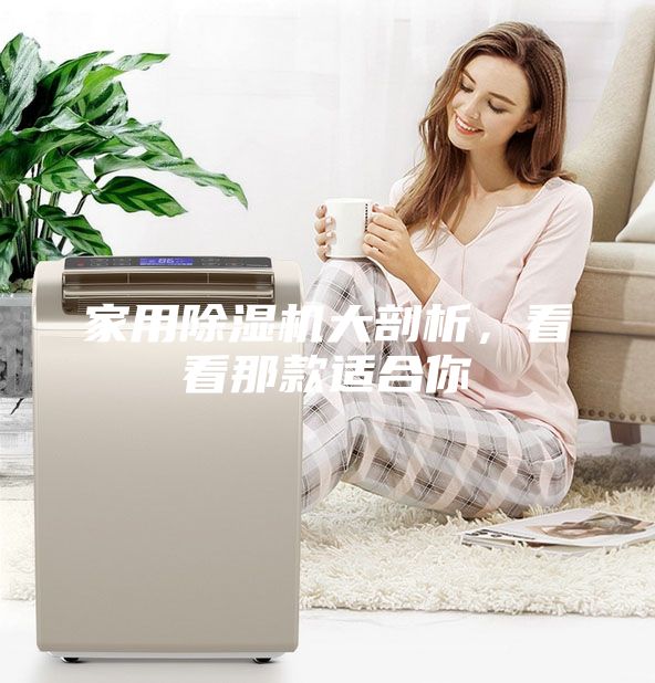 家用除湿机大剖析，看看那款适合你