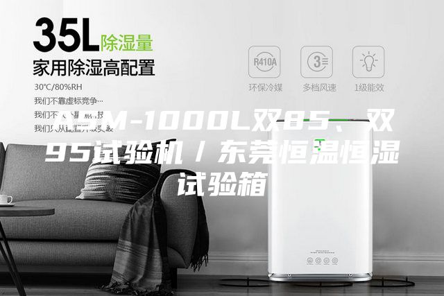 ASM-1000L双85、双95试验机／东莞恒温恒湿试验箱