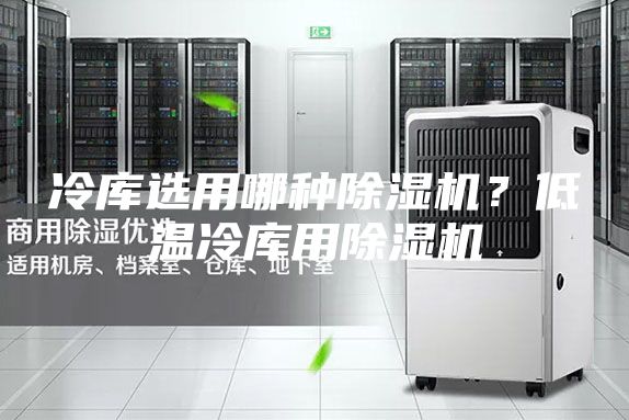 冷库选用哪种除湿机？低温冷库用除湿机