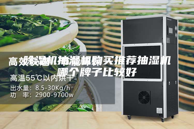 除湿机抽湿机购买推荐抽湿机哪个牌子比较好