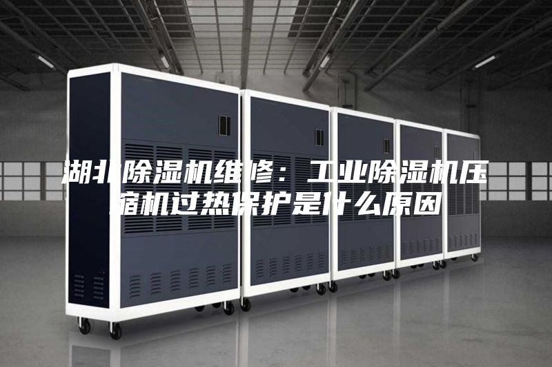 湖北除湿机维修：工业除湿机压缩机过热保护是什么原因