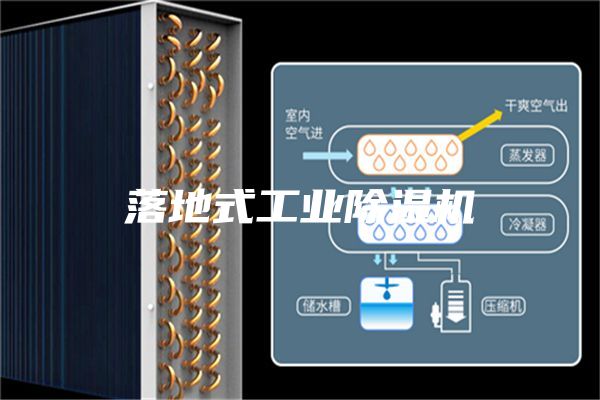 落地式工业除湿机
