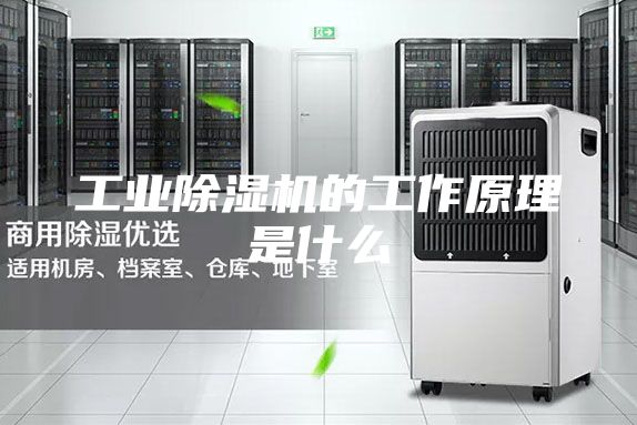 工业除湿机的工作原理是什么