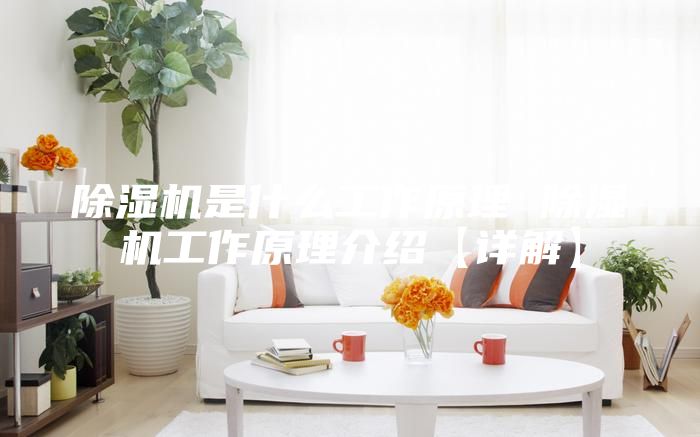 除湿机是什么工作原理 除湿机工作原理介绍【详解】