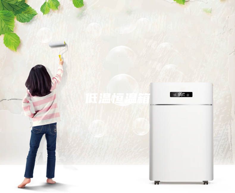 低温恒温箱