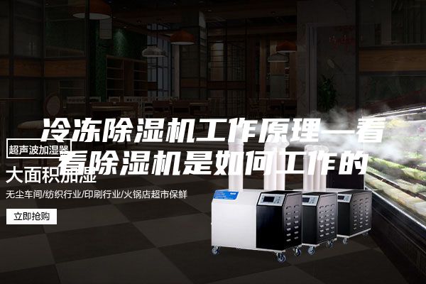冷冻除湿机工作原理—看看除湿机是如何工作的