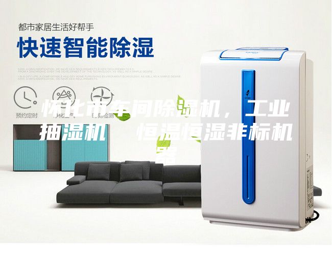 怀化市车间除湿机，工业抽湿机  恒温恒湿非标机器